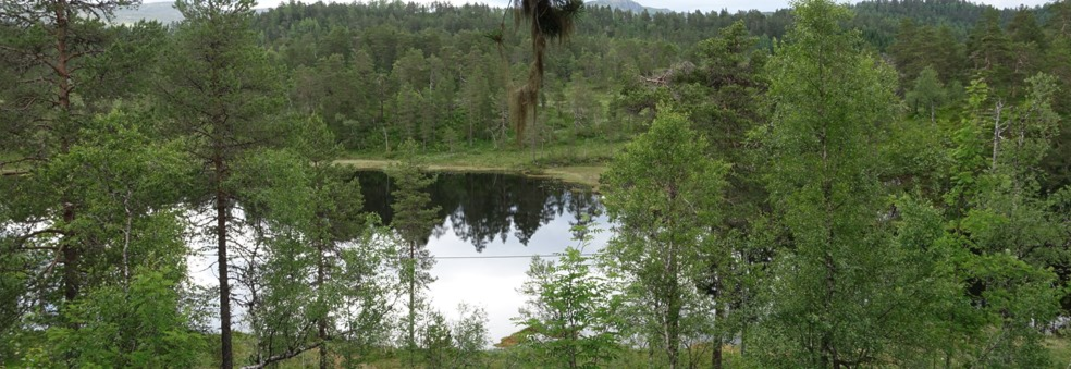 Nærløp Djupedalen onsdag 19. juni klokka 18.00